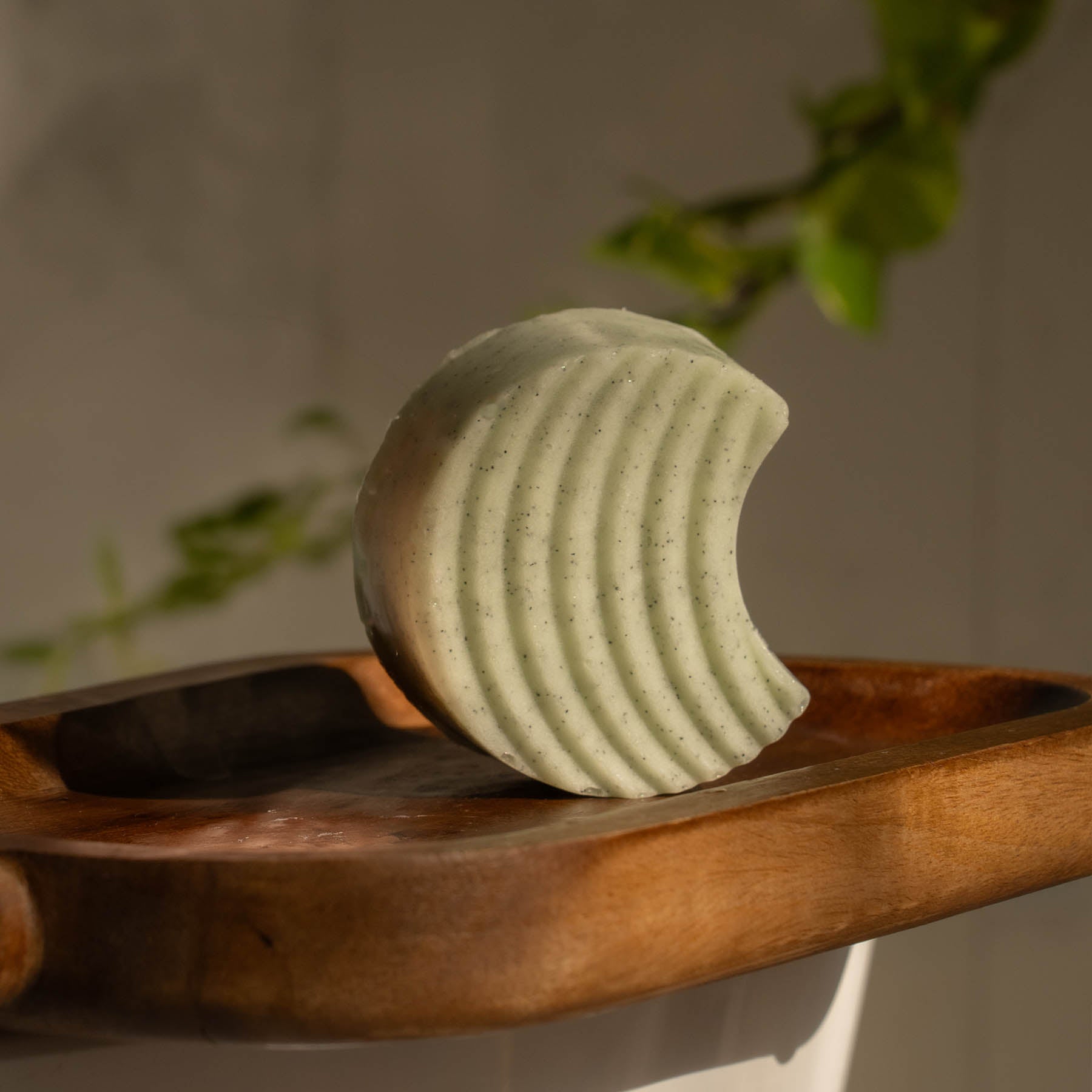 Detox + Clarify Body Scrub