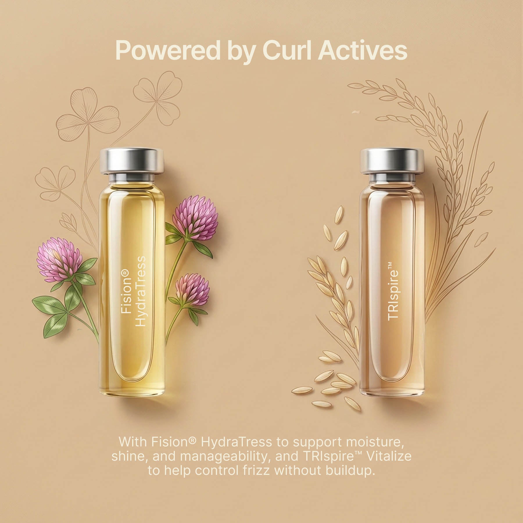 Curl Define + Moisture Set